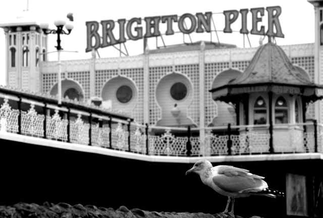 Bored in Brighton_Low Res